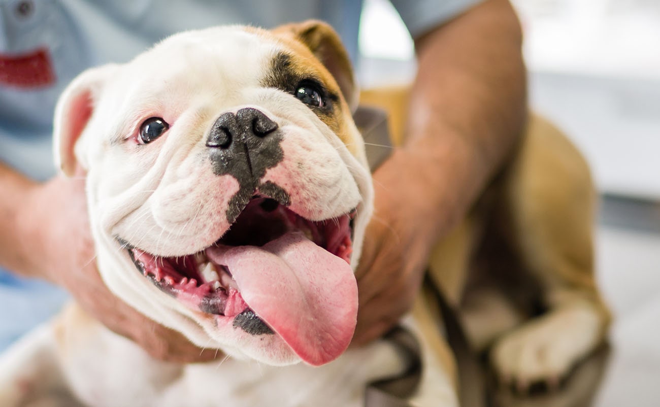 Patient Arrival Policy